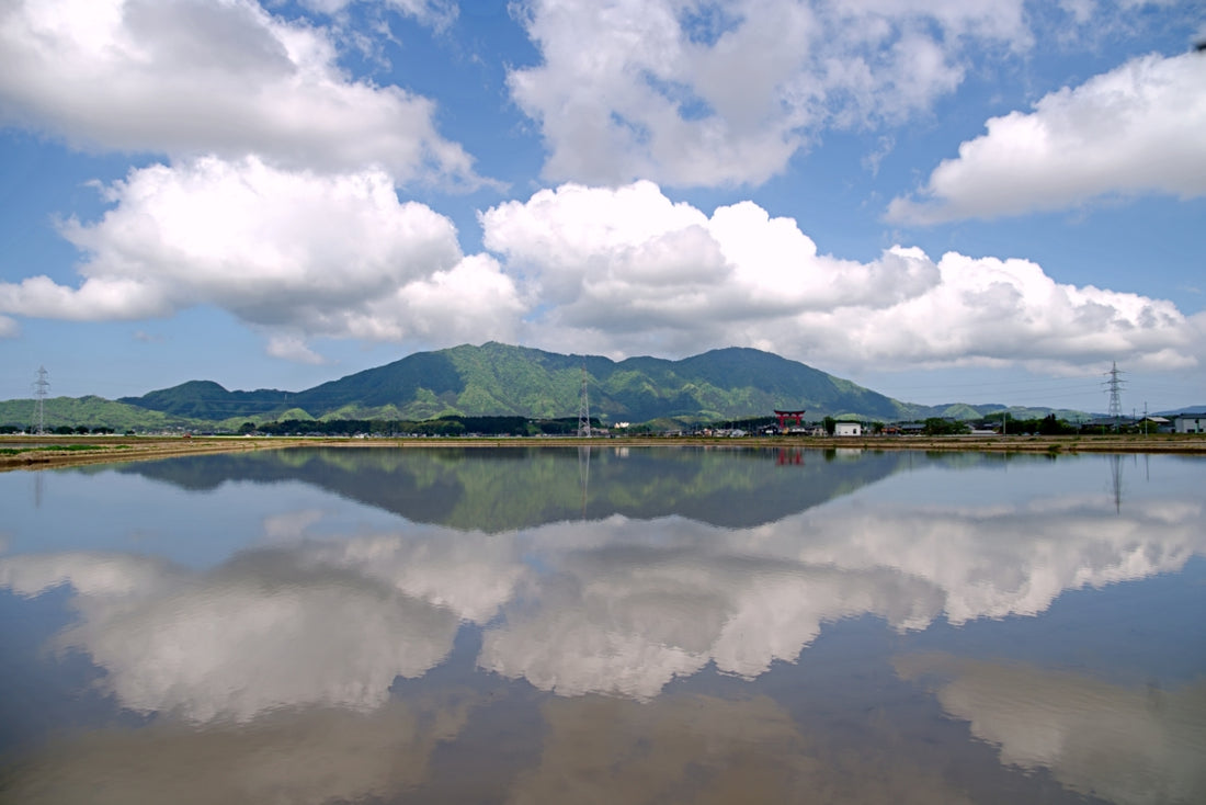 田植え前の一番いい時期